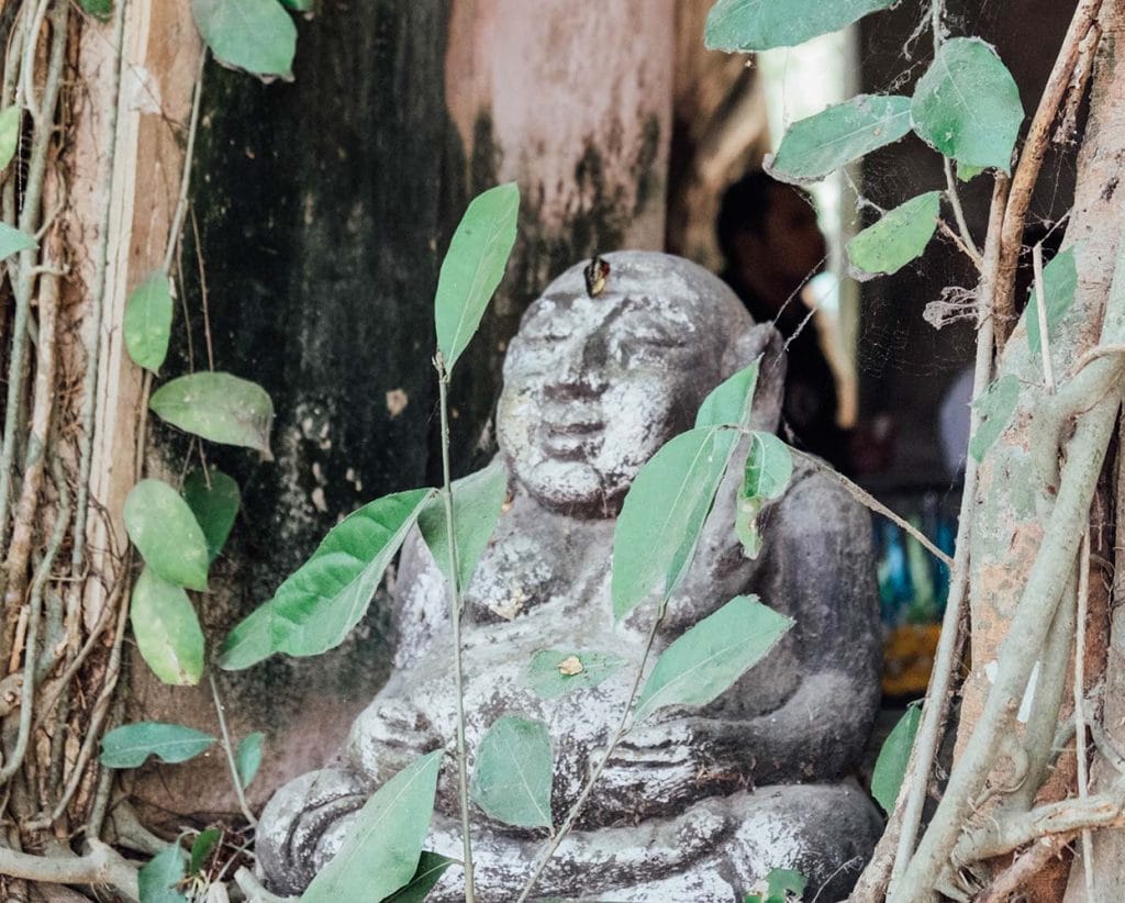 Buddha stone statue amongst tree roots