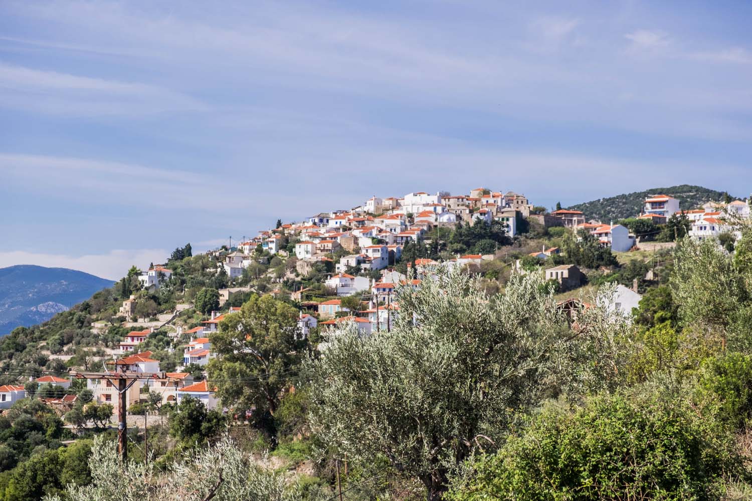 View of Alonissos Old Town on a hill with green bushes