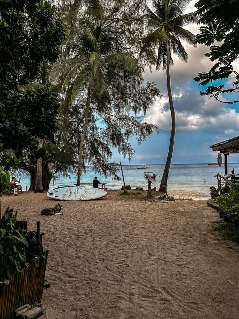 path to Sairee beach with surfboard and palmtree
