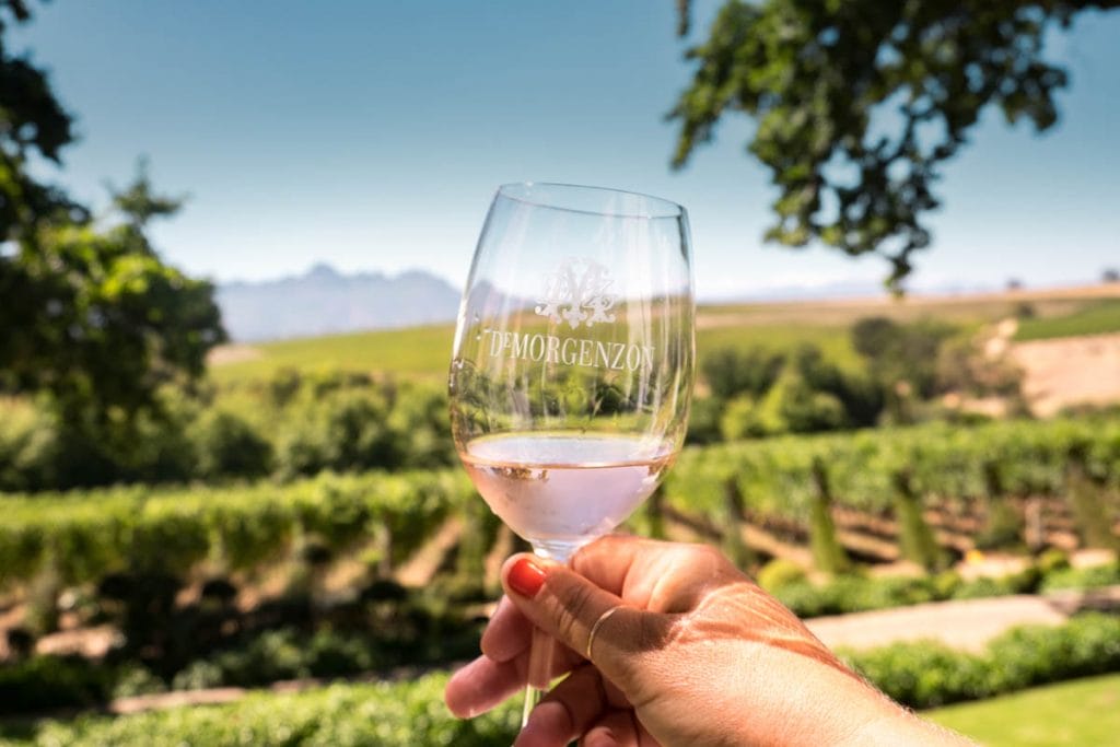 Hand holding a glass of rose with vineyard in the background at De Morgenzon wine farm in Stellenbosch