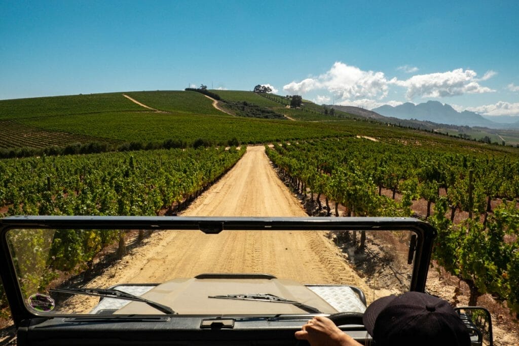 View over Jordan vineyards from safari vehicle