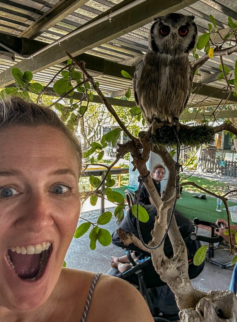 Owl selfie at Eagle Encounters
