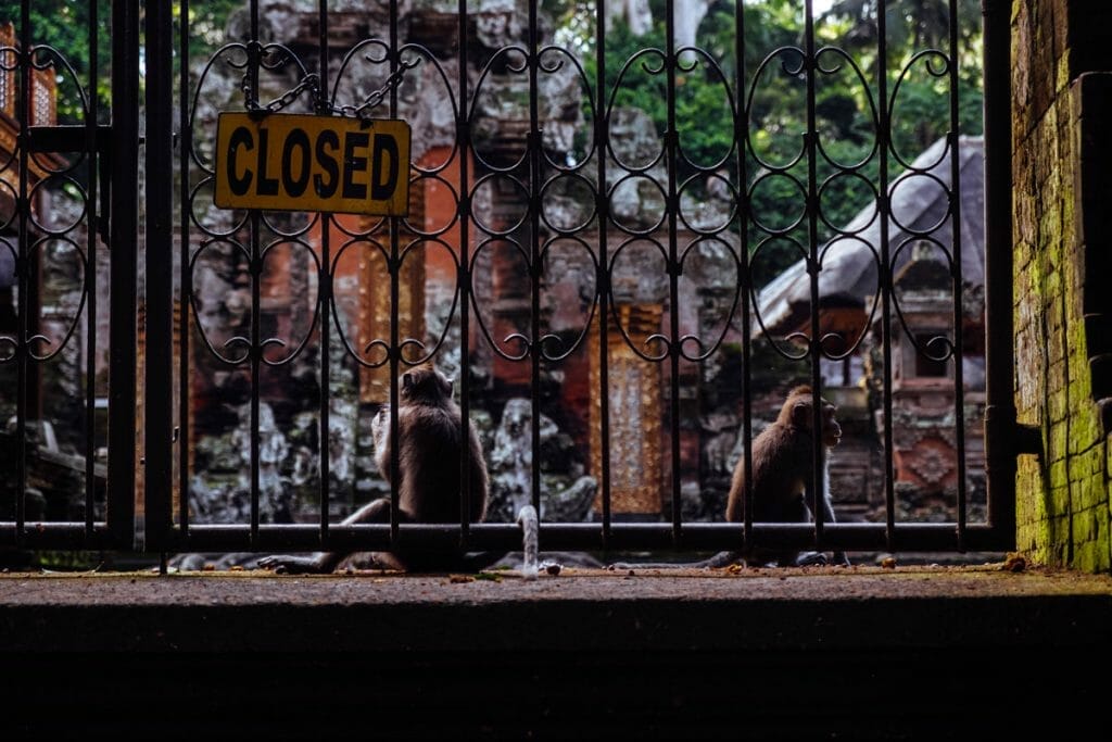Monkeys at a temple gate in Monkey forest