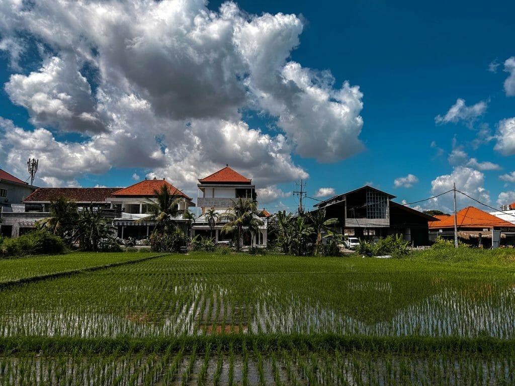 Rice paddies and buildings in Bali